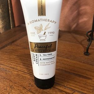 COPY - Bath and Body Works Tea Tree Peppermint